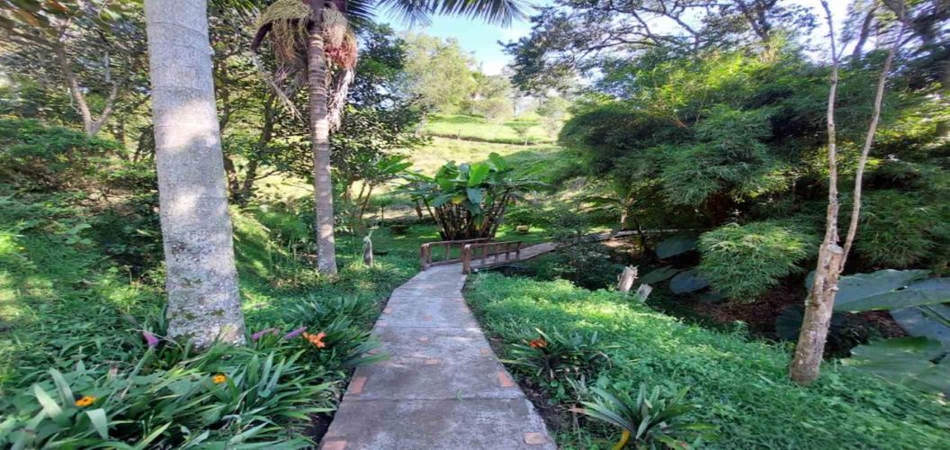 Finca en  Arriendo en El tambo, La ceja - Miniatura 28