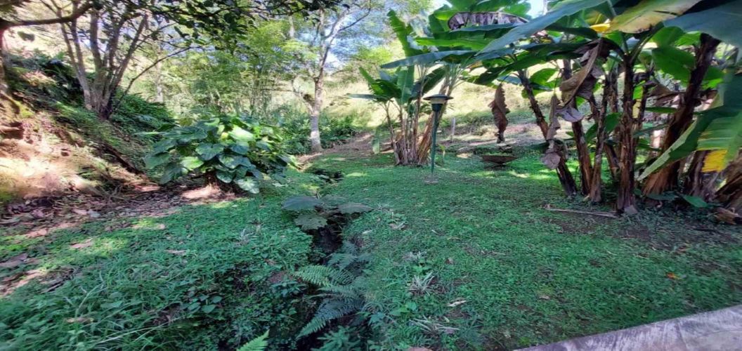Finca en  Arriendo en El tambo, La ceja - Miniatura 30
