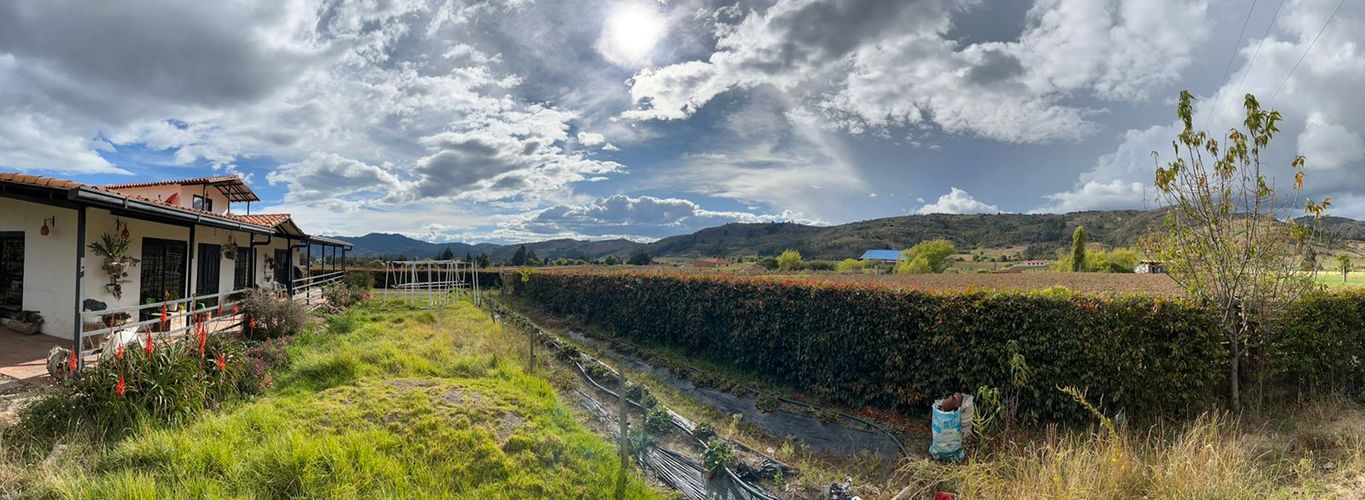 Finca en  Venta en Sora - Miniatura 7