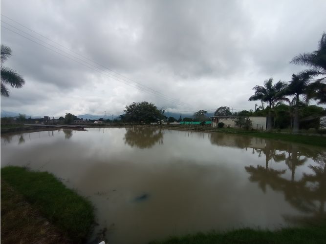 Finca en  Venta en Fusagasugá, Chinauta - Miniatura 5