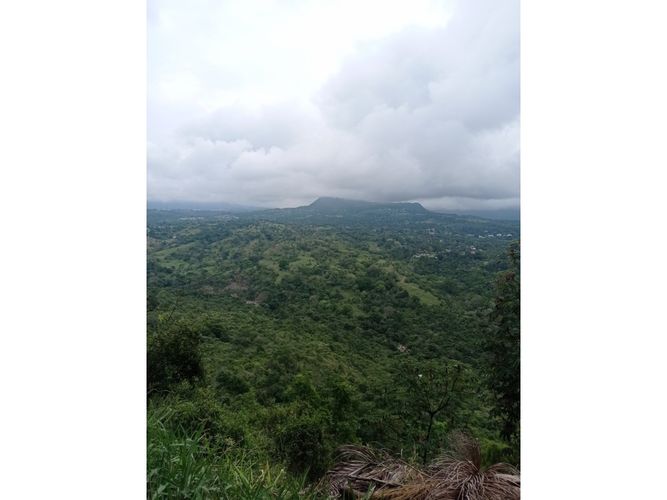 Finca en  Venta en Fusagasugá, Chinauta - Miniatura 8