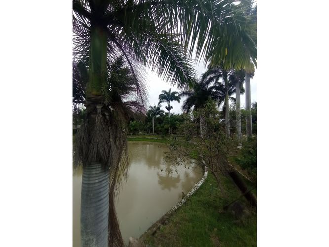 Finca en  Venta en Fusagasugá, Chinauta - Miniatura 9
