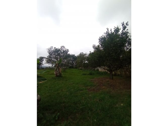 Finca en  Venta en Fusagasugá, Chinauta - Miniatura 12