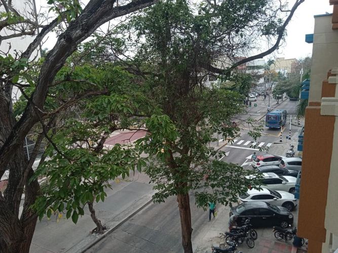 Oficina en  Arriendo en El prado, Barranquilla - Miniatura 5