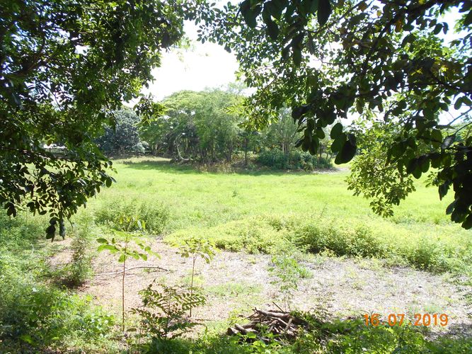 Finca en venta en Los pericos, Montería - Miniatura 2