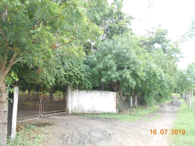 Finca en venta en Los pericos, Montería - Miniatura 3