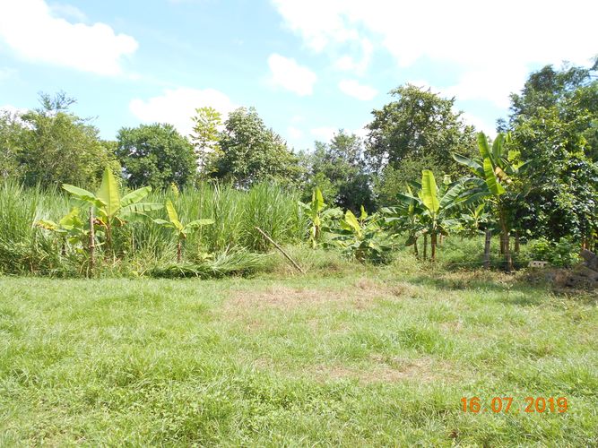 Finca en venta en Los pericos, Montería - Miniatura 5