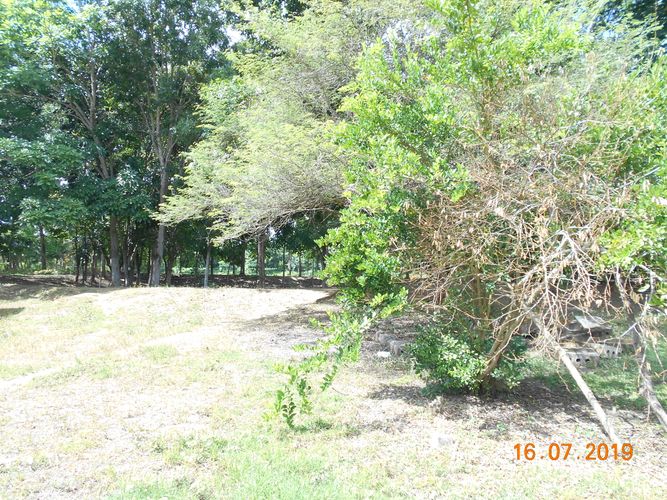 Finca en venta en Los pericos, Montería - Miniatura 7