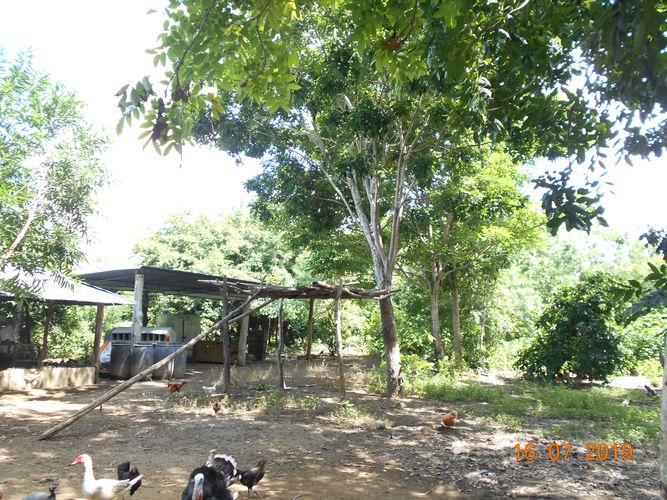 Finca en venta en Los pericos, Montería - Miniatura 8