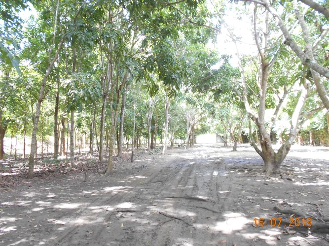 Finca en venta en Los pericos, Montería - Miniatura 10