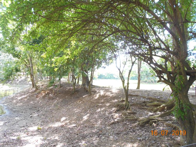 Finca en venta en Los pericos, Montería - Miniatura 12