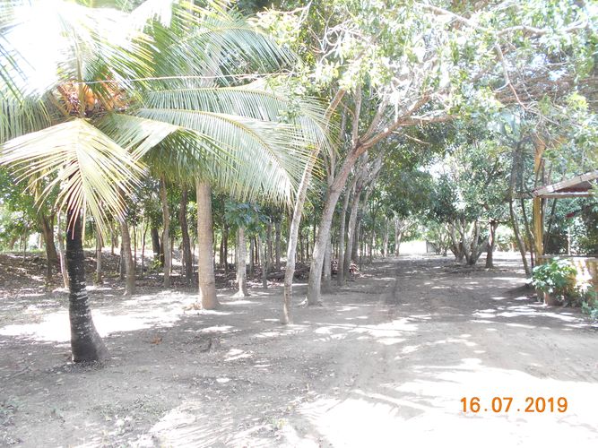 Finca en venta en Los pericos, Montería - Miniatura 14