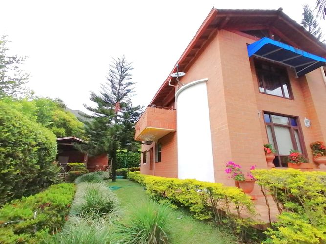 Finca en  Arriendo en Quimbaya - Miniatura 20