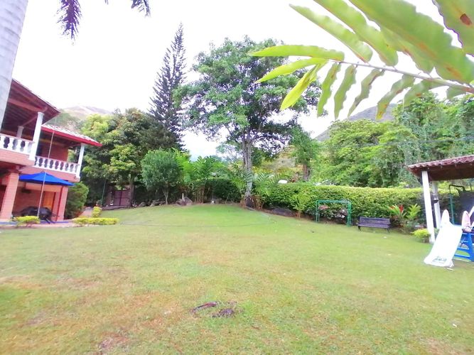 Finca en  Arriendo en Quimbaya - Miniatura 21