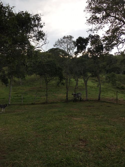 Finca en  Venta en Guaduas - Miniatura 2