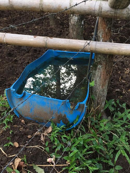 Finca en  Venta en Guaduas - Miniatura 3