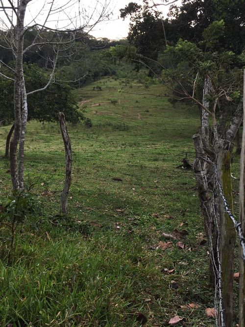 Finca en  Venta en Guaduas - Miniatura 4