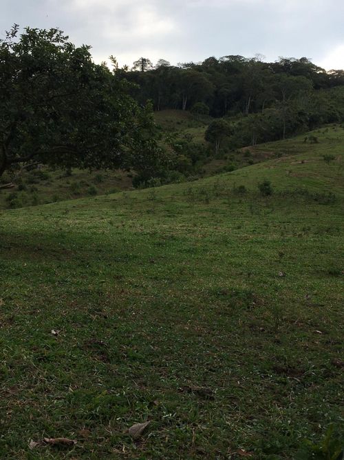 Finca en  Venta en Guaduas - Miniatura 5