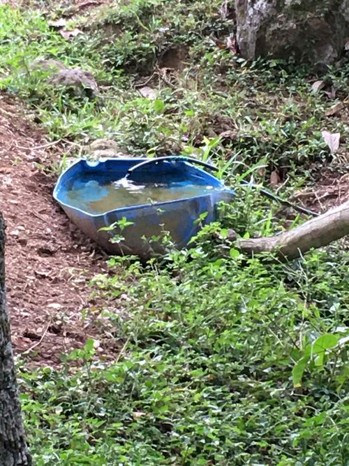 Finca en  Venta en Guaduas - Miniatura 6