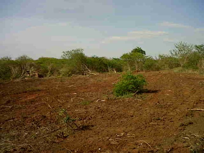 Finca en  Venta en Juan de acosta - Miniatura 4