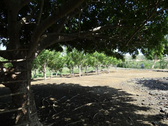 Finca en  Venta en Juan de acosta - Miniatura 7