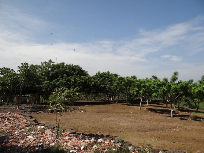 Finca en  Venta en Juan de acosta - Miniatura 13