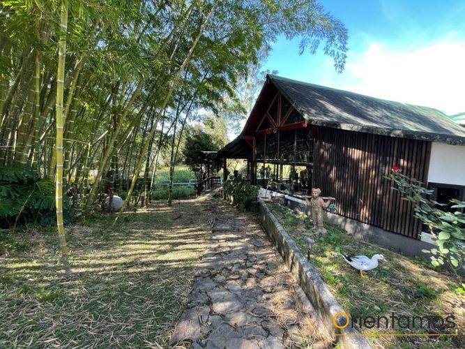 Casa en arriendo en El salado, Guarne - Miniatura 15