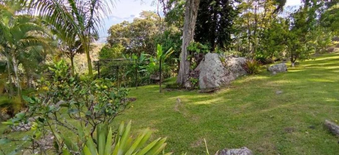 Finca en  Arriendo en San antonio del tequendama - Miniatura 19