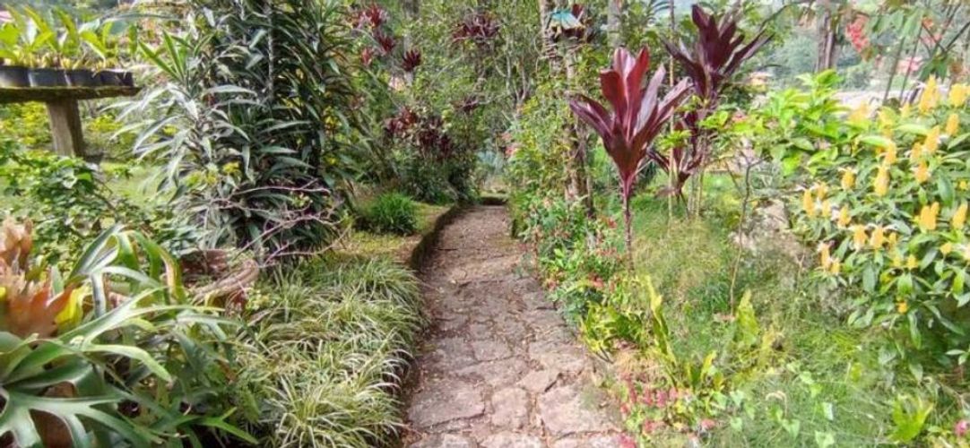 Finca en  Venta en San antonio del tequendama - Miniatura 18