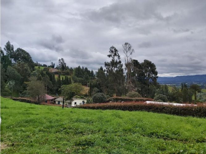 Finca en  Venta en Cogua - Imagen 1