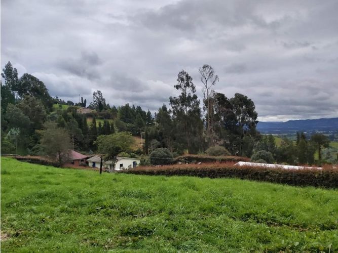 Finca en  Venta en Cogua - Miniatura 4