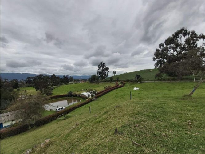 Finca en  Venta en Cogua - Miniatura 5