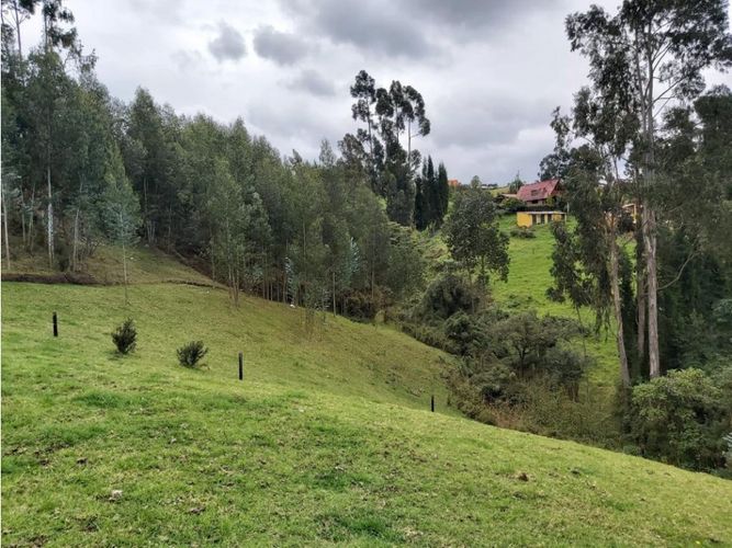 Finca en  Venta en Cogua - Miniatura 7