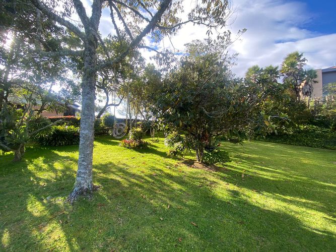 Casa en  Venta en Las Palmas, Envigado - Miniatura 5
