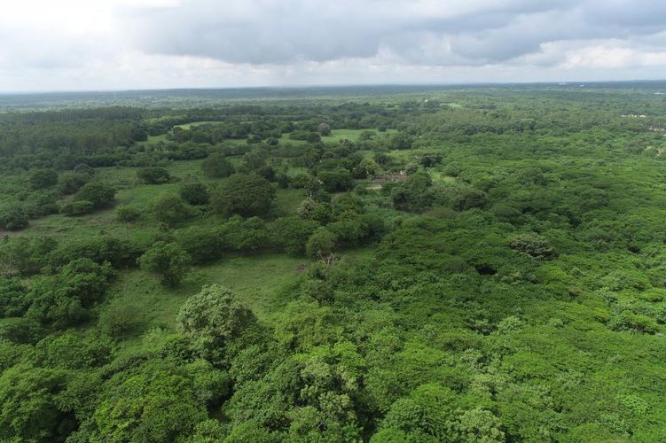 Finca en  Venta en Galapa - Miniatura 23