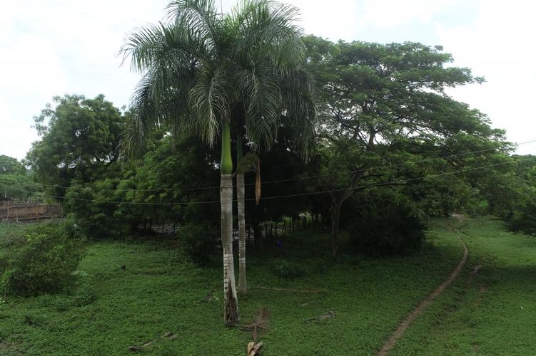 Finca en  Venta en Galapa - Miniatura 26