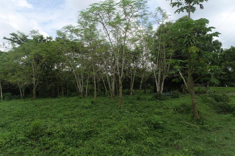 Finca en  Venta en Galapa - Miniatura 28