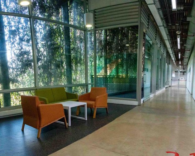 Local en  Arriendo en Sevilla, Medellín - Miniatura 13