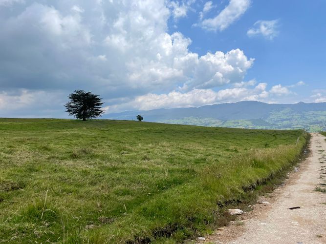 Finca en  Venta en Pueblo viejo, Chocontá - Miniatura 7
