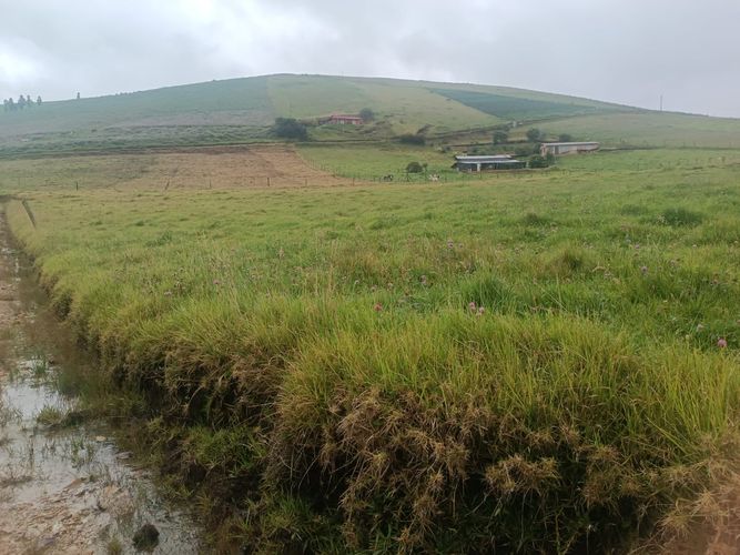 Finca en  Venta en Pueblo viejo, Chocontá - Miniatura 9