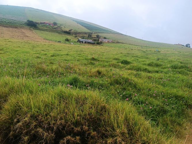 Finca en  Venta en Pueblo viejo, Chocontá - Miniatura 11