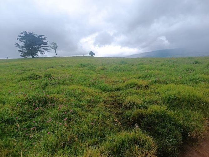 Finca en  Venta en Pueblo viejo, Chocontá - Miniatura 13