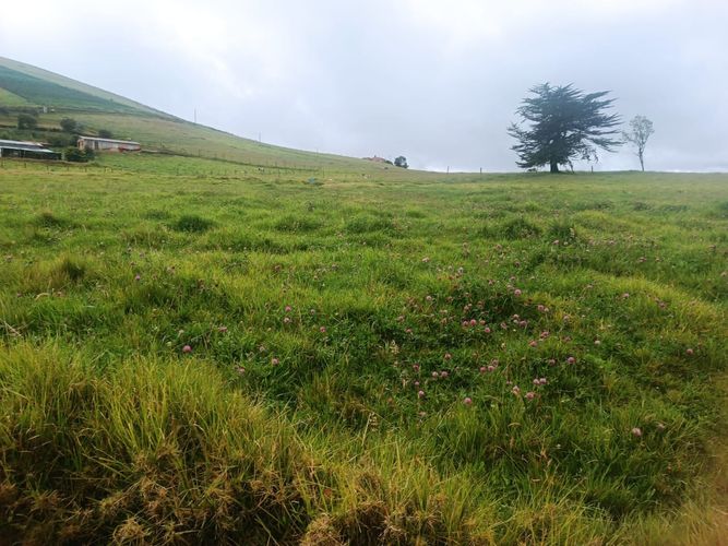 Finca en  Venta en Pueblo viejo, Chocontá - Miniatura 15