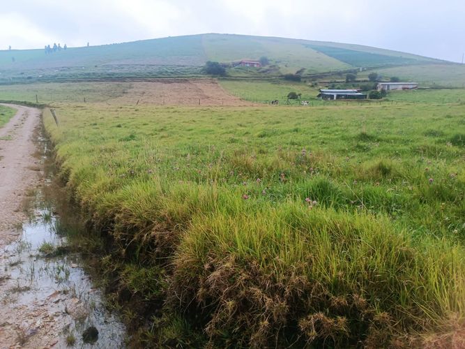 Finca en  Venta en Pueblo viejo, Chocontá - Miniatura 14