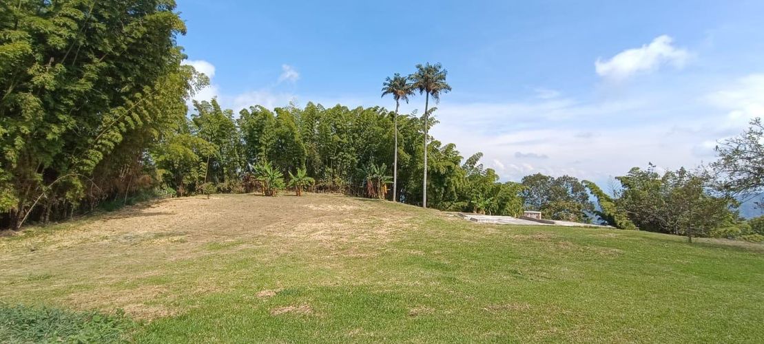 Finca en  Venta en El arenillo parte, Manizales - Miniatura 14