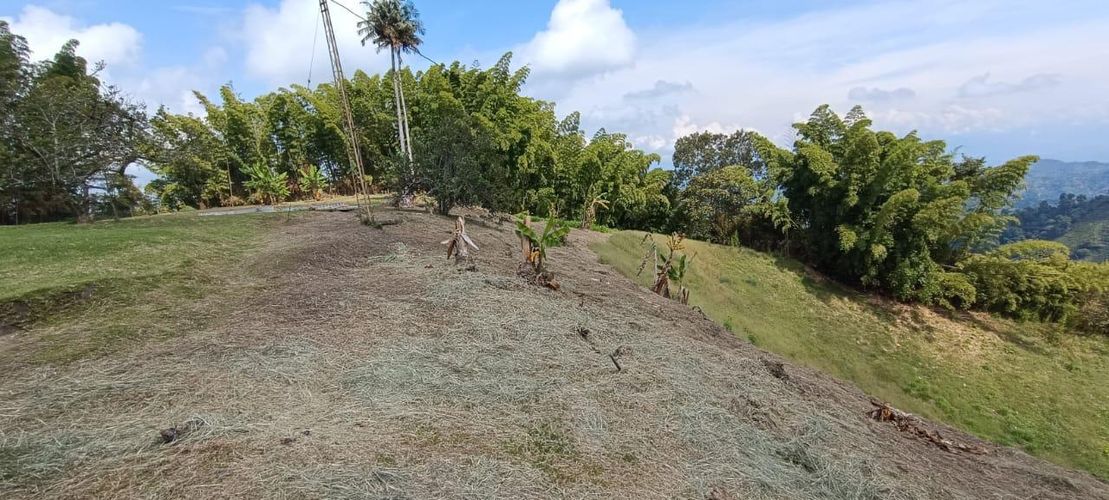 Finca en  Venta en El arenillo parte, Manizales - Miniatura 15