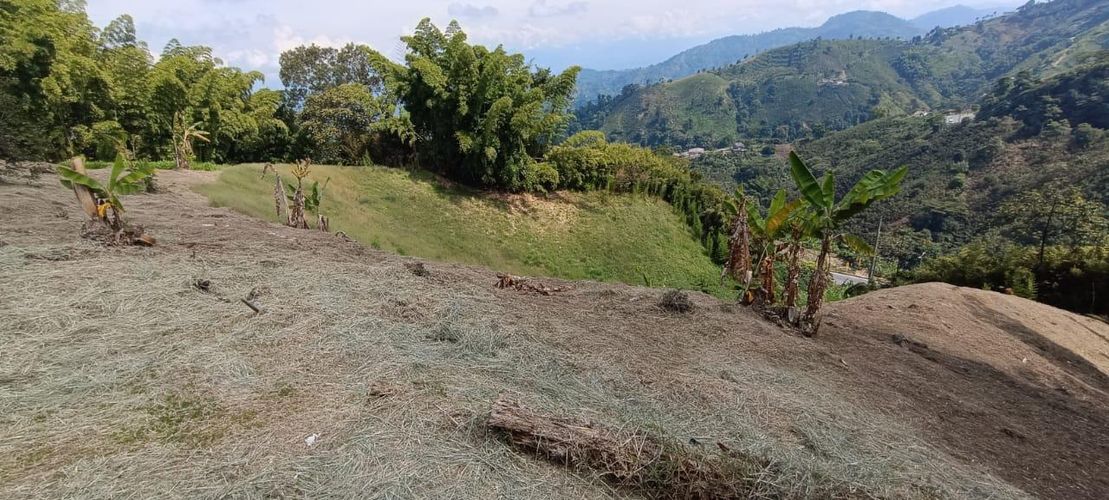 Finca en  Venta en El arenillo parte, Manizales - Miniatura 16
