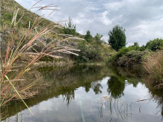 Finca en  Venta en Villa de leyva - Imagen 1