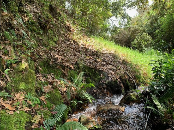 Finca en  Venta en Villa de leyva - Miniatura 2