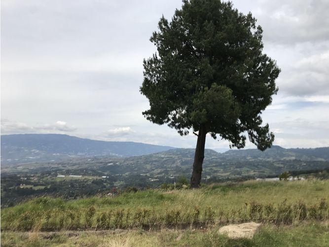 Finca en  Venta en Villa de leyva - Miniatura 3